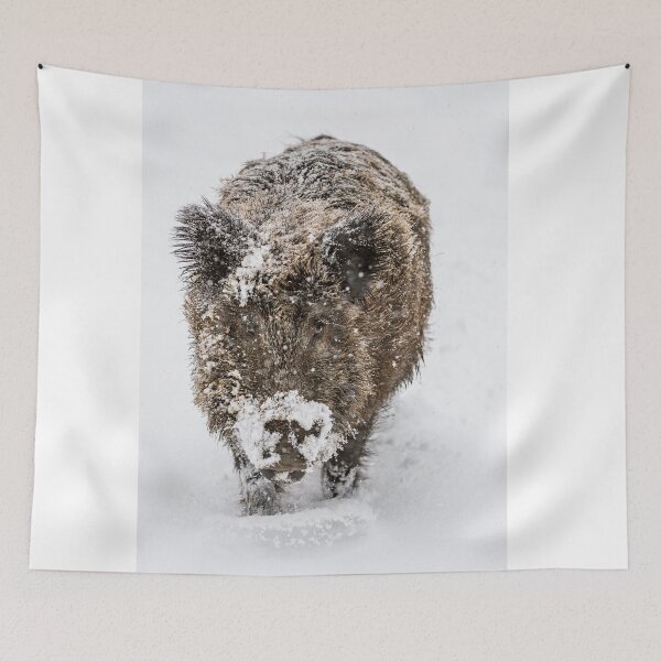 Item preview, Wild boar in deep snow designed and sold by Ingo Gerlach.