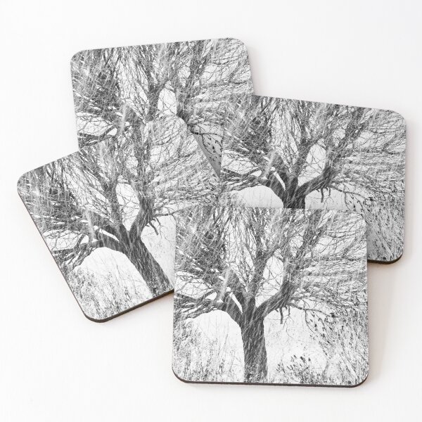 Item preview, 12.11.2023: Tree, Bushes and Snowfall II designed and sold by Petri Volanen.