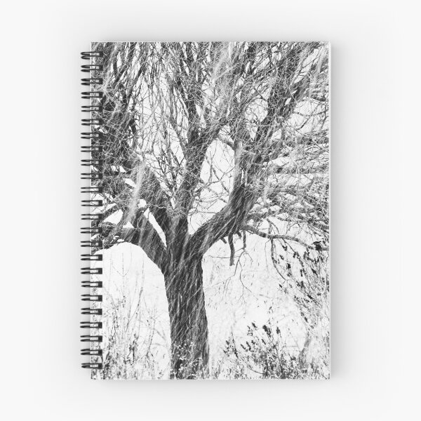 Item preview, 12.11.2023: Tree, Bushes and Snowfall II designed and sold by Petri Volanen.