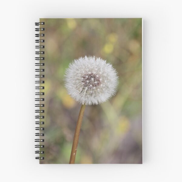 Item preview, Dandelion Head designed and sold by Kim Chi Thai.