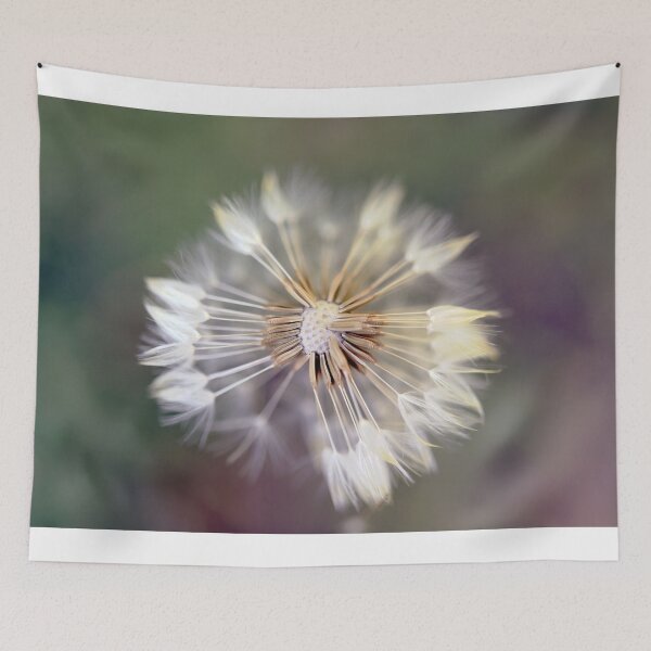 Item preview, Dandelion - soft and feathery designed and sold by imaginethis.