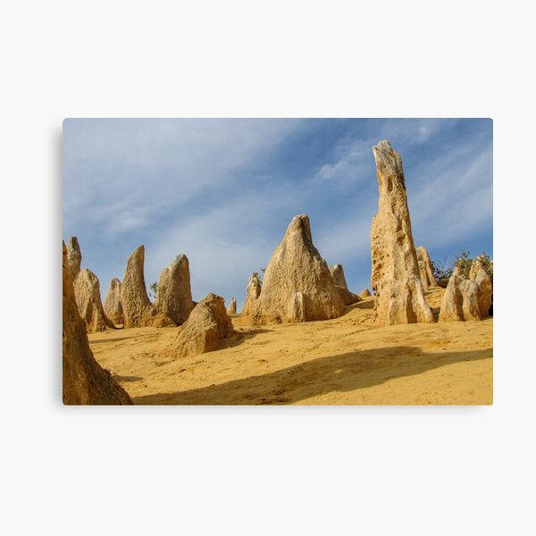 The Pinnacles - Close up Canvas Print