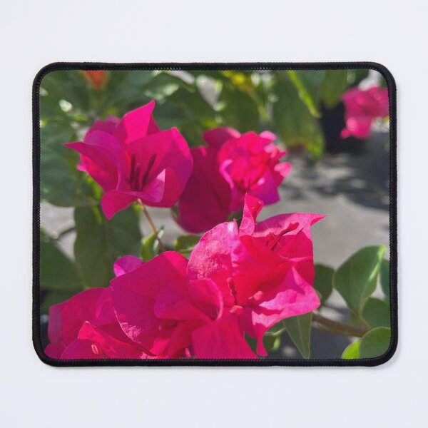 Item preview, Shocking  pink bougainvillea or paper flower, tropical magenta floral designed and sold by Bird4771.