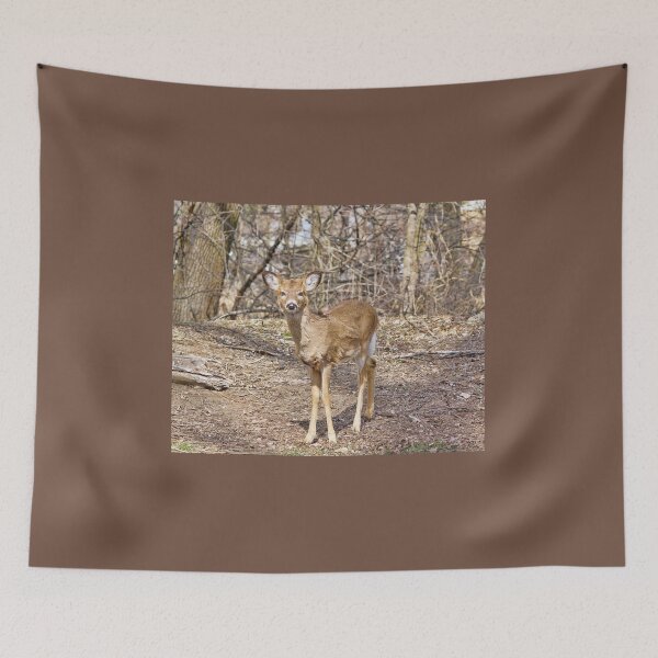 Item preview, Hey Little Fella  designed and sold by Lanis Rossi.