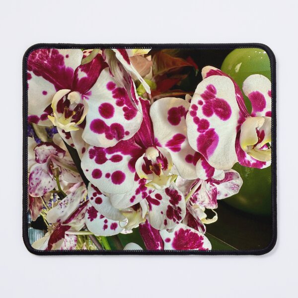 Item preview, artistic orchid designed and sold by BreeFarinaPhoto.
