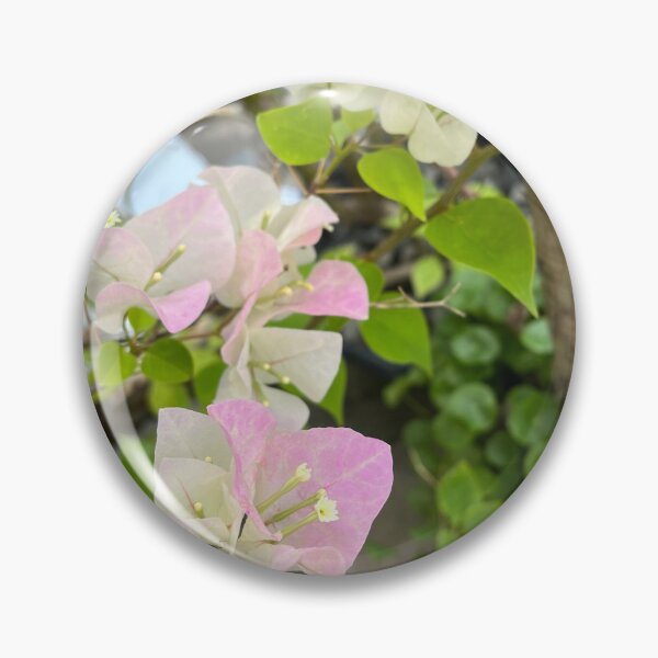 Item preview, Romantic Ombré pink bougainvillea or paper flower, gradient pink tropical floral designed and sold by Bird4771.
