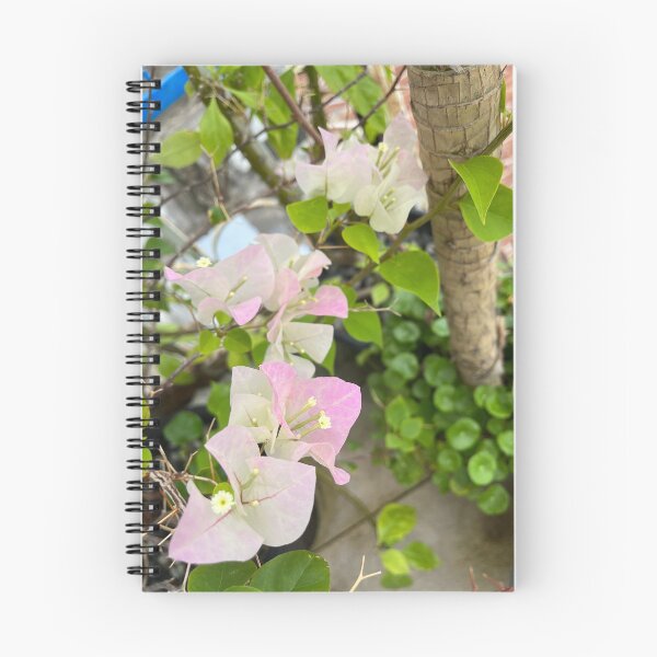 Item preview, Romantic Ombré pink bougainvillea or paper flower, gradient pink tropical floral designed and sold by Bird4771.