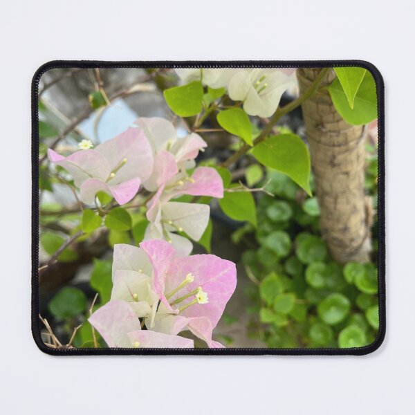 Item preview, Romantic Ombré pink bougainvillea or paper flower, gradient pink tropical floral designed and sold by Bird4771.