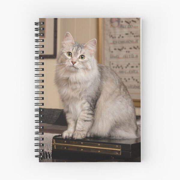 Aperçu de l'œuvre Chat sur bébé grand créée et vendue par HiddenRockRanch.