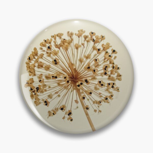 Item preview, A dry ornamental garlic designed and sold by Beabue.