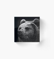 Kodiak Bear Acrylic Block