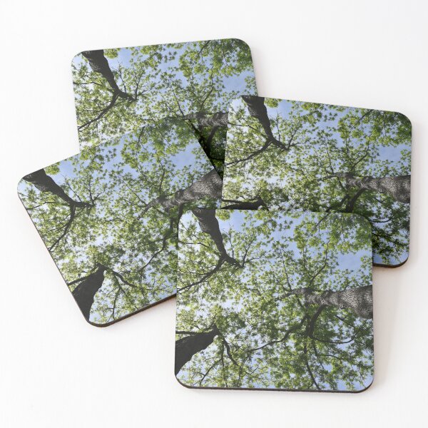 Item preview, A deciduous forest in summer designed and sold by Claude Laprise.