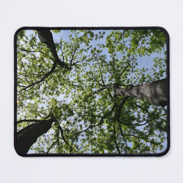 Item preview, A deciduous forest in summer designed and sold by Claude Laprise.