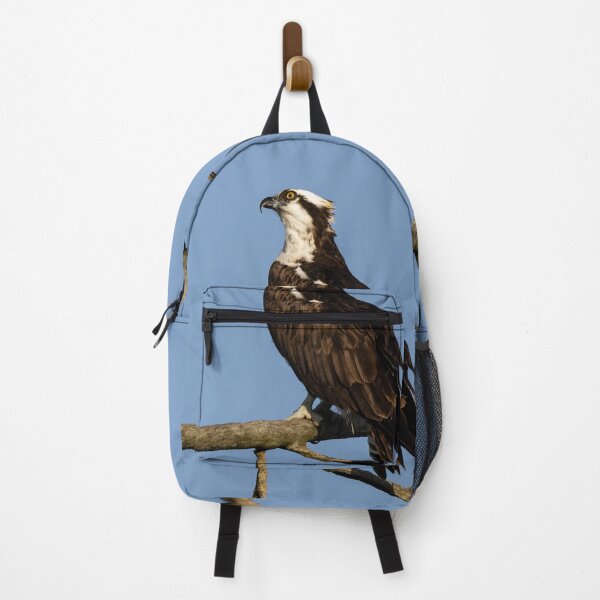 Item preview, Bird of prey designed and sold by SkyeNotions.