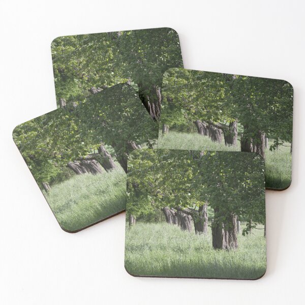 Item preview, Apple Trees in a Row designed and sold by Calidris Fotografie Steffi & Ben Köppler.