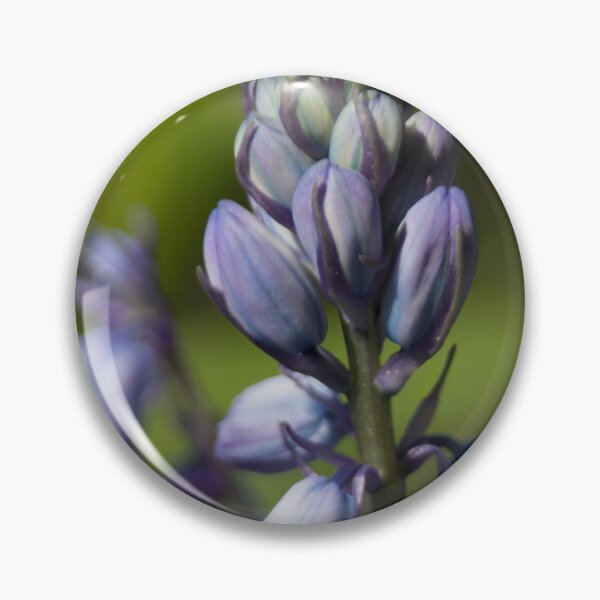 Item preview, Bellflower designed and sold by Calidris Fotografie Steffi & Ben Köppler.