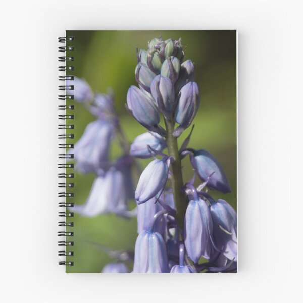 Item preview, Bellflower designed and sold by Calidris Fotografie Steffi & Ben Köppler.