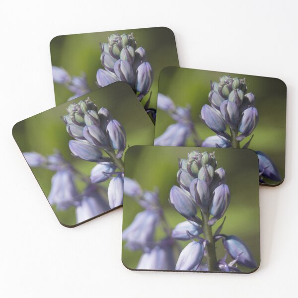 Item preview, Bellflower designed and sold by Calidris Fotografie Steffi & Ben Köppler.