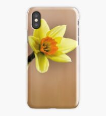Narcissus iPhone Case/Skin