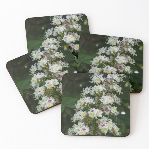 Item preview, Chestnut Blossom designed and sold by Calidris Fotografie Steffi & Ben Köppler.