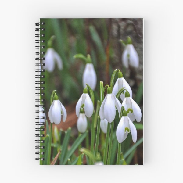 Item preview, Snowdrops.............. designed and sold by lynn carter.