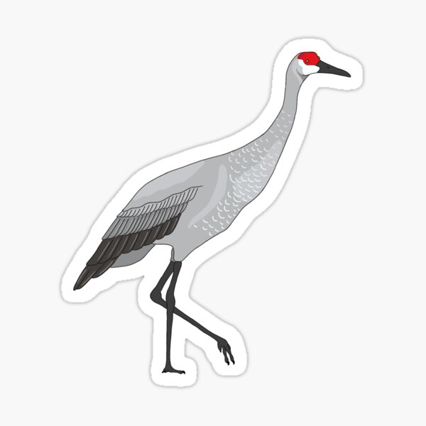 Item preview, Mississippi Sandhill Crane designed and sold by PossumHollowArt.