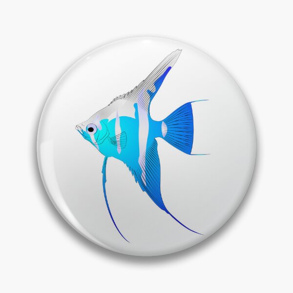 Item preview, Pterophyllum scalare Sailfins, freshwater angelfish aquatic animal contour lines hand drawn illustration aquarium fish designed and sold by Marcin Adrian.