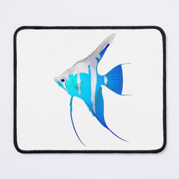 Item preview, Pterophyllum scalare Sailfins, freshwater angelfish aquatic animal contour lines hand drawn illustration aquarium fish designed and sold by Marcin Adrian.