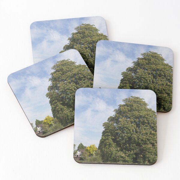 Item preview, Chestnut Tree designed and sold by Calidris Fotografie Steffi & Ben Köppler.