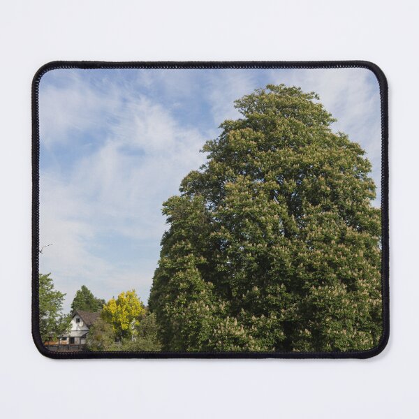 Item preview, Chestnut Tree designed and sold by Calidris Fotografie Steffi & Ben Köppler.