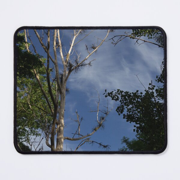 Item preview, Tree Tops and Sky designed and sold by Calidris Fotografie Steffi & Ben Köppler.