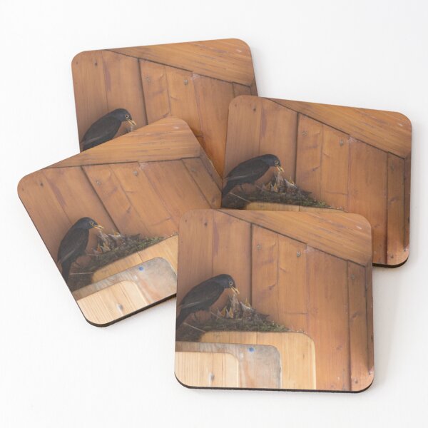 Item preview, Blackbird feeding the young ones designed and sold by Calidris Fotografie Steffi & Ben Köppler.