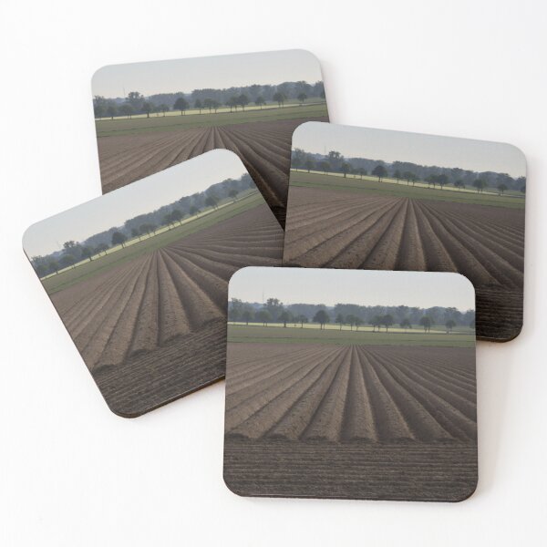 Item preview, Potato field designed and sold by Calidris Fotografie Steffi & Ben Köppler.