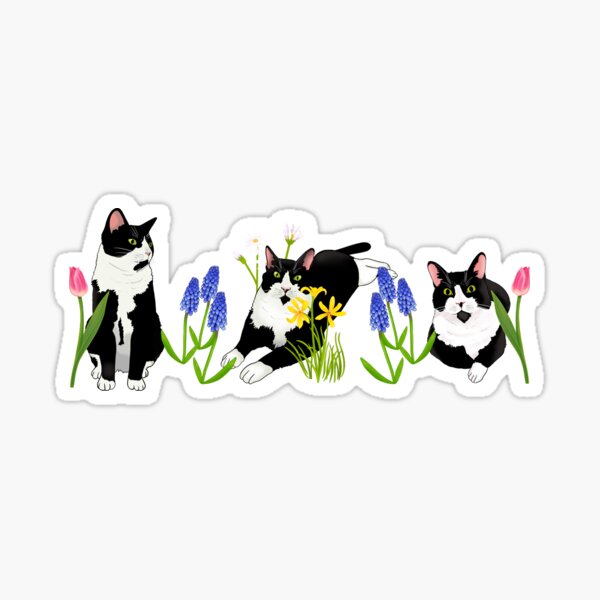 Tuxedo cat, black and white cat and flower pattern Sticker