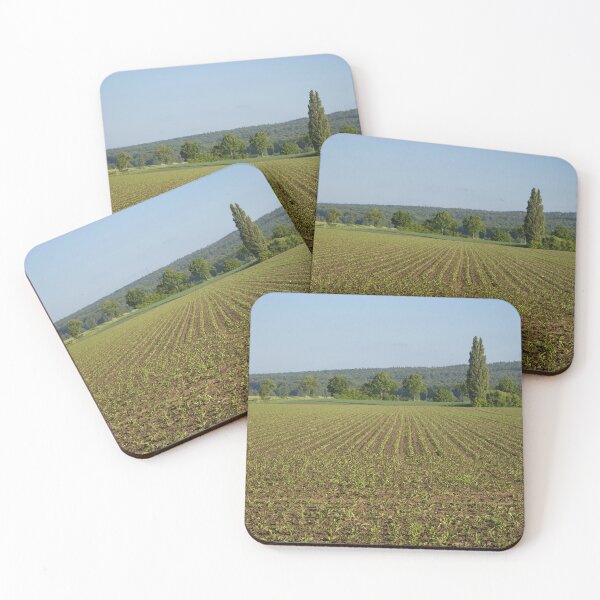 Item preview, Sugar beet field designed and sold by Calidris Fotografie Steffi & Ben Köppler.