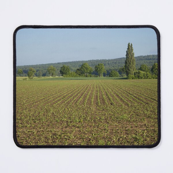 Item preview, Sugar beet field designed and sold by Calidris Fotografie Steffi & Ben Köppler.