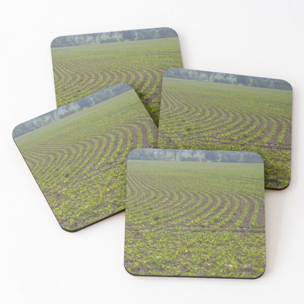 Item preview, Sugar Beet Field 3 designed and sold by Calidris Fotografie Steffi & Ben Köppler.