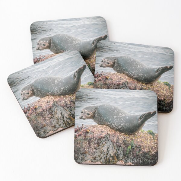 Item preview, Curious Seal designed and sold by CONSTAPHOTO.