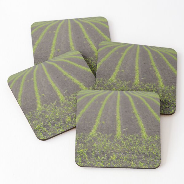 Item preview, Cornfield designed and sold by Calidris Fotografie Steffi & Ben Köppler.