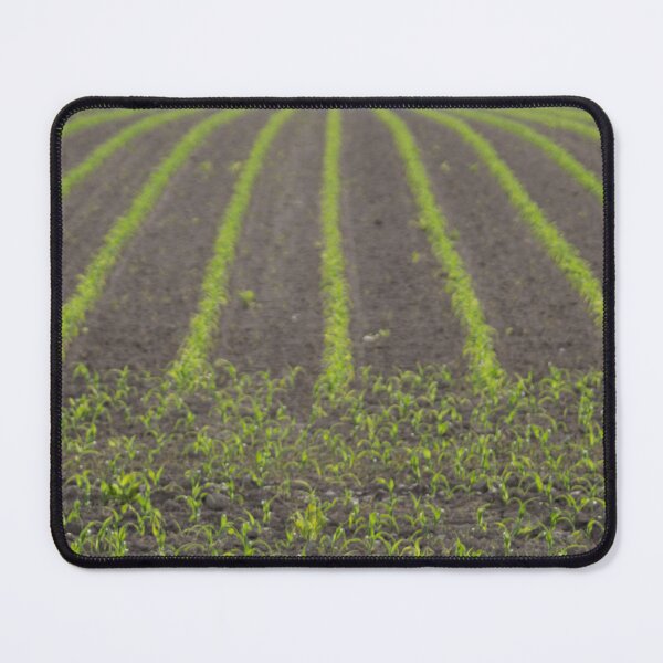Item preview, Cornfield designed and sold by Calidris Fotografie Steffi & Ben Köppler.