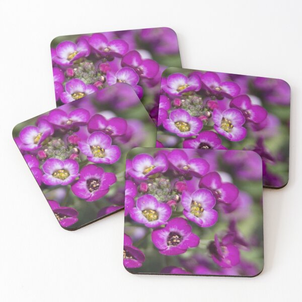 Item preview, Beautiful Violet Flower designed and sold by Calidris Fotografie Steffi & Ben Köppler.