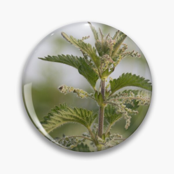 Item preview, Nettle designed and sold by Calidris Fotografie Steffi & Ben Köppler.