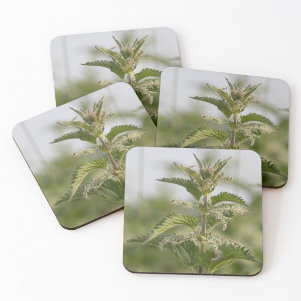 Item preview, Nettle designed and sold by Calidris Fotografie Steffi & Ben Köppler.
