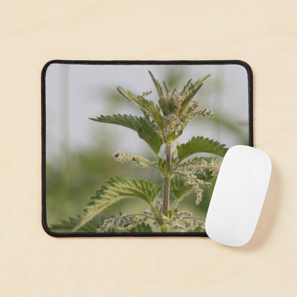 Item preview, Mouse Pad designed and sold by steffik.