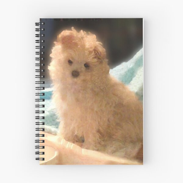 Item preview, Baby Pippin designed and sold by IrishEyesMrsZ.
