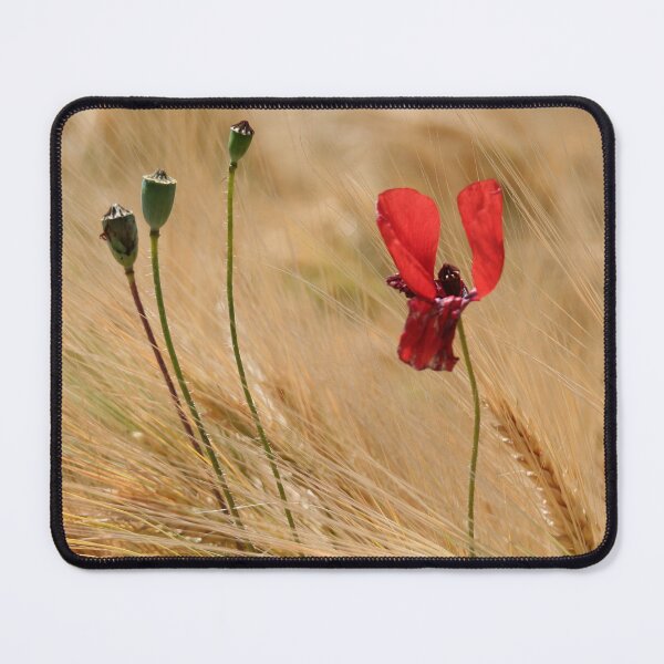 Item preview, Poppy and Barley designed and sold by Calidris Fotografie Steffi & Ben Köppler.