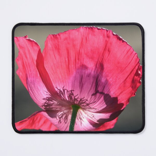 Item preview, Pinkish-red Poppy designed and sold by Calidris Fotografie Steffi & Ben Köppler.