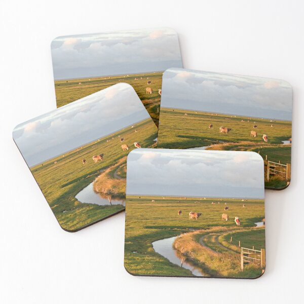 Item preview, Cattle on the meadow, Halllig Hooge designed and sold by Calidris Fotografie Steffi & Ben Köppler.