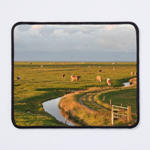 Item preview, Cattle on the meadow, Halllig Hooge designed and sold by Calidris Fotografie Steffi & Ben Köppler.