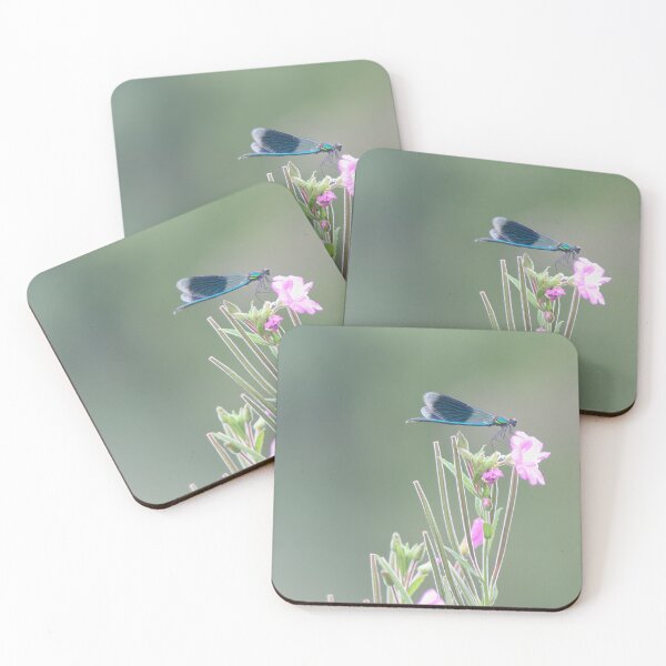 Item preview, Banded Dragonfly designed and sold by Calidris Fotografie Steffi & Ben Köppler.